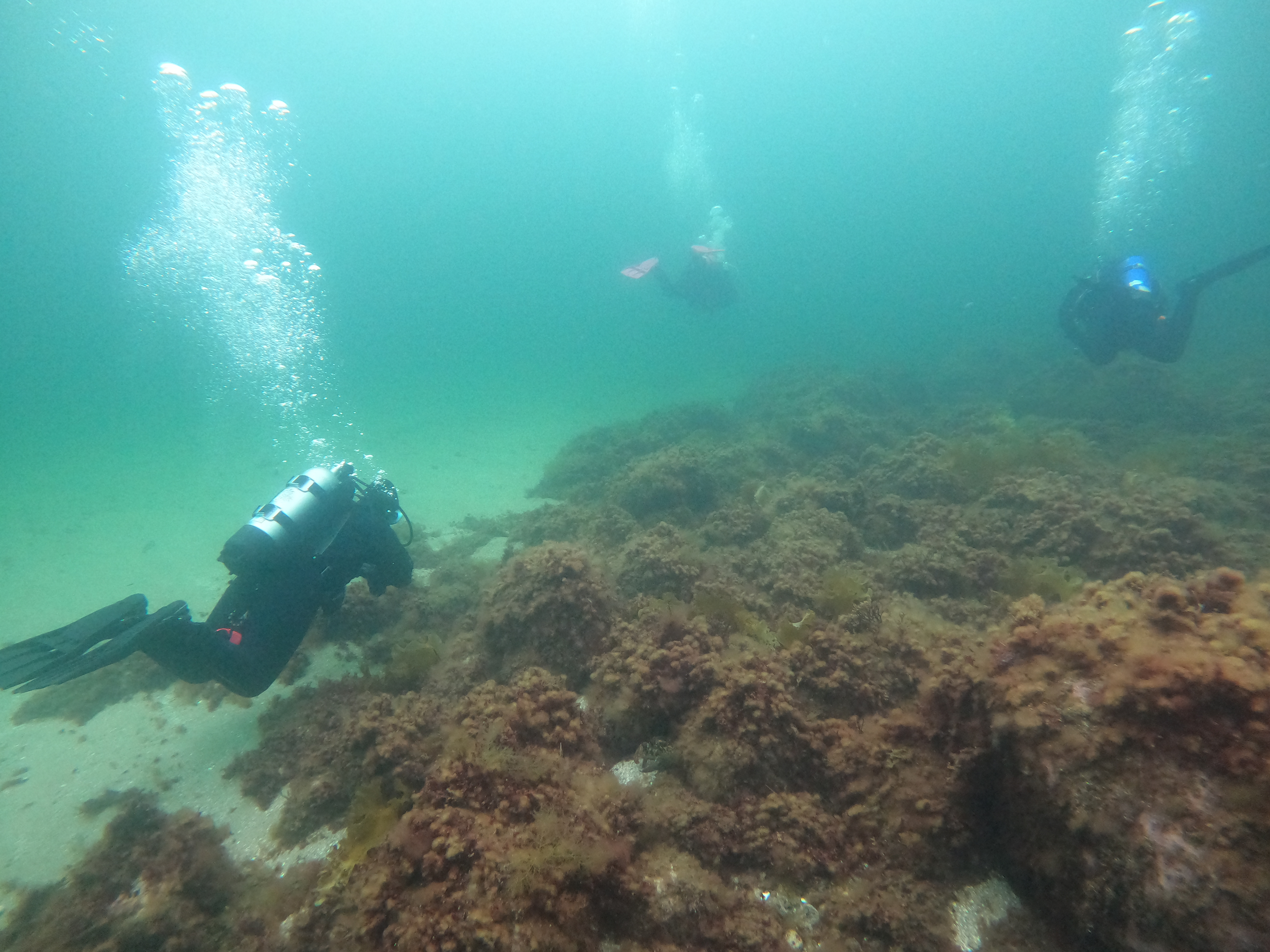 NSUC divers
