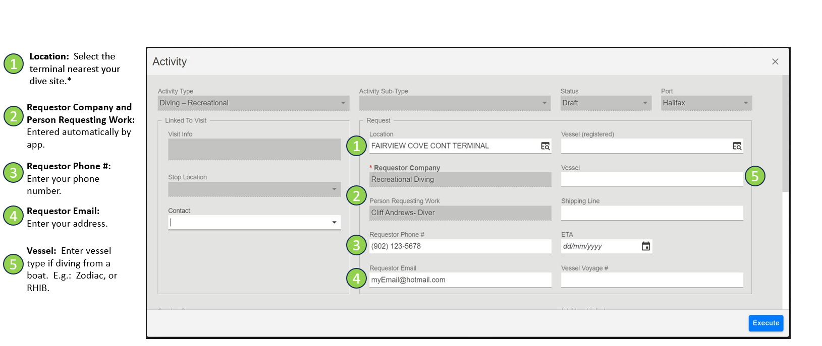 Step 2: Filling in Permit Information